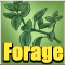 Forage Icon
