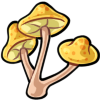 Triple Mushroom